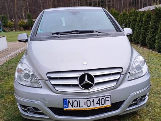 Mercedes-Benz Klasa B cena 23490 przebieg: 234150, rok produkcji 2010 z Jasień małe 352